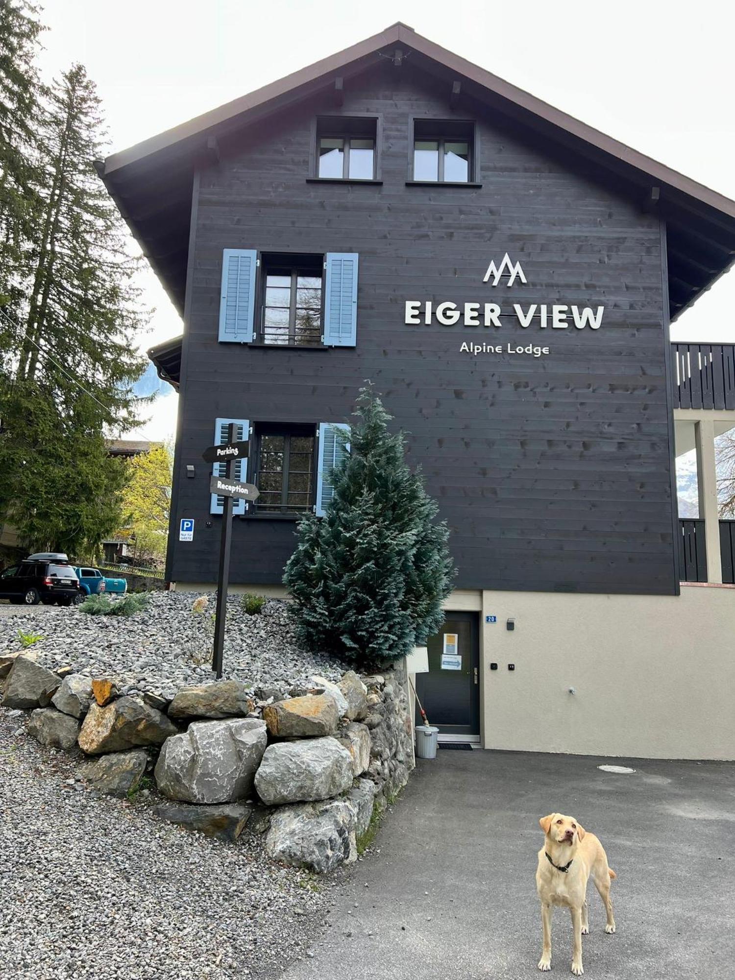 Eiger View Alpine Lodge グリンデルヴァルト エクステリア 写真