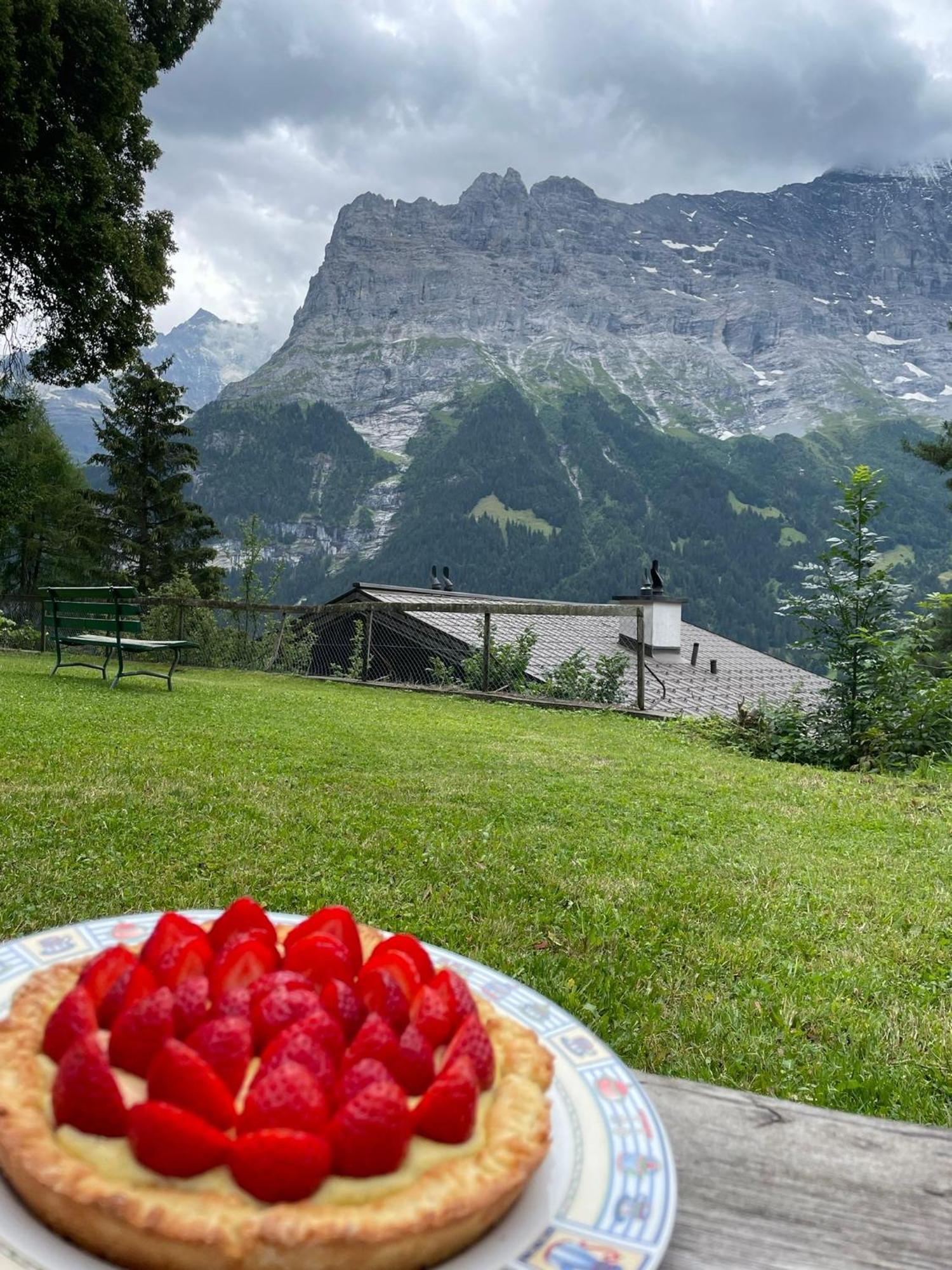 Eiger View Alpine Lodge グリンデルヴァルト エクステリア 写真